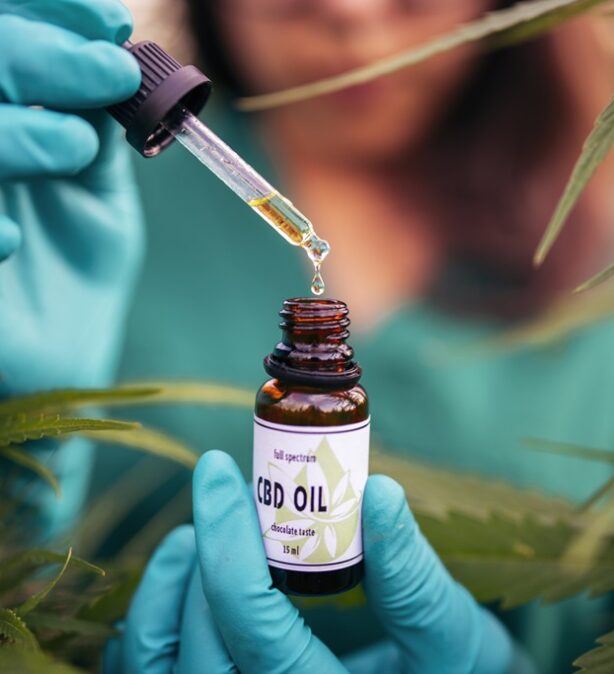 CBD Oil